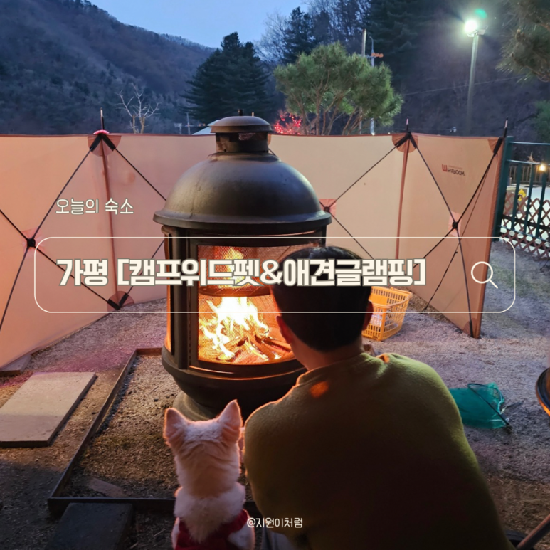 캠프위드펫&애견글램핑 이미지