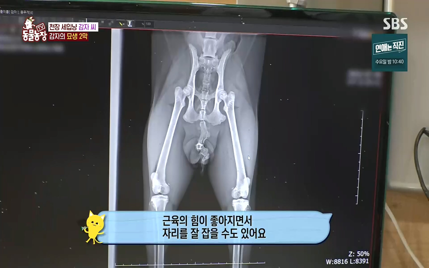 TV 동물농장.E1081.220807p.H264-F1RST.mp4_20220807_213626.149.jpg