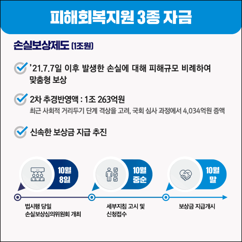 두 번째 지원 - 손실보상제도