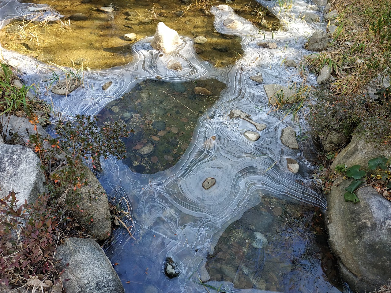 얼어붙은 연못 3