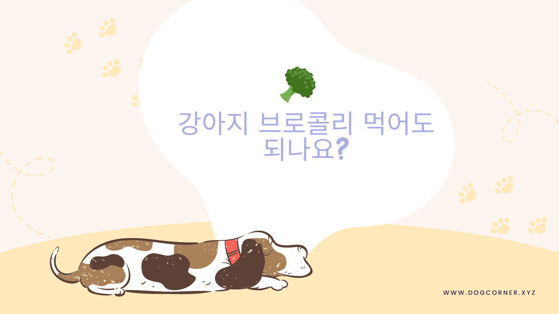 강아지 브로콜리