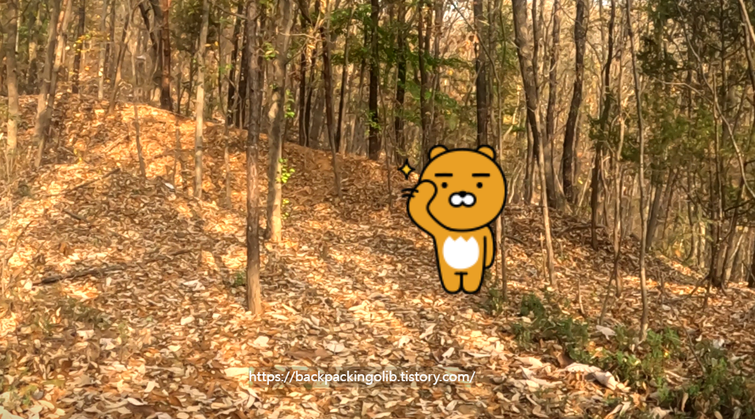 초반에 안내도가 없고 길이 없다