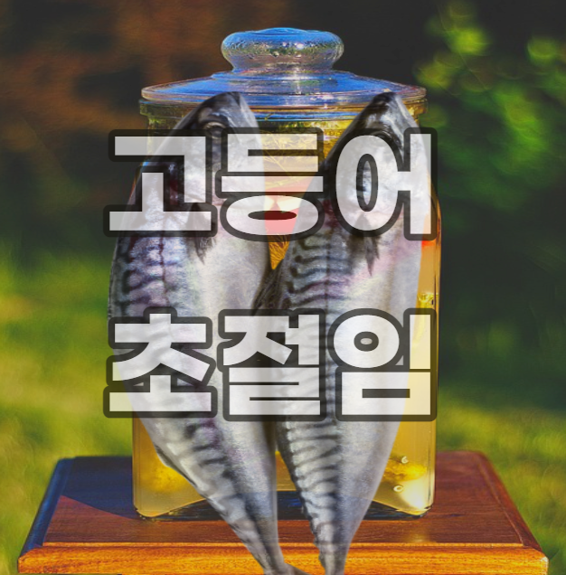 고등어-초절임-만들기-회-정식-태비