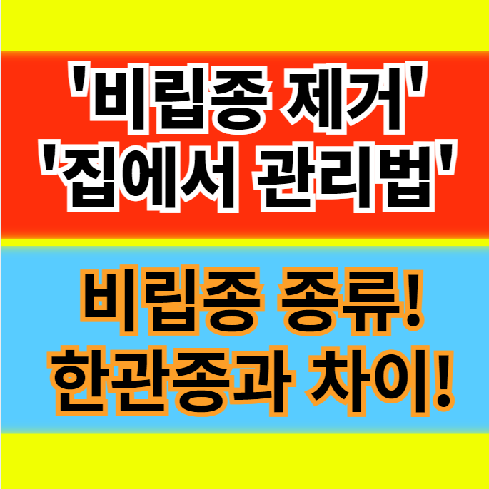  비립종 원인 제거(집에서) 방법 비립종 종류 및 한관종 차이 정보