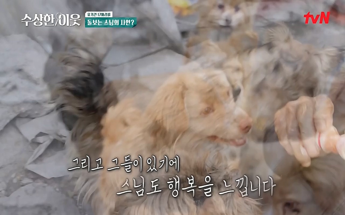 수상한 이웃.E04.220422p-NEXT.mp4_20220424_193453.744.jpg