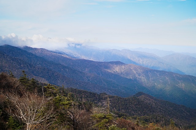 지리산