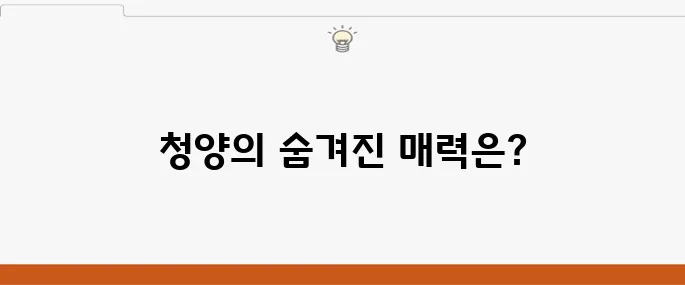 청양에서 꼭 방문해야 할 최고의 여행 코스 10곳