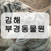  아이들과 가볼만한곳 김해 부경동물원