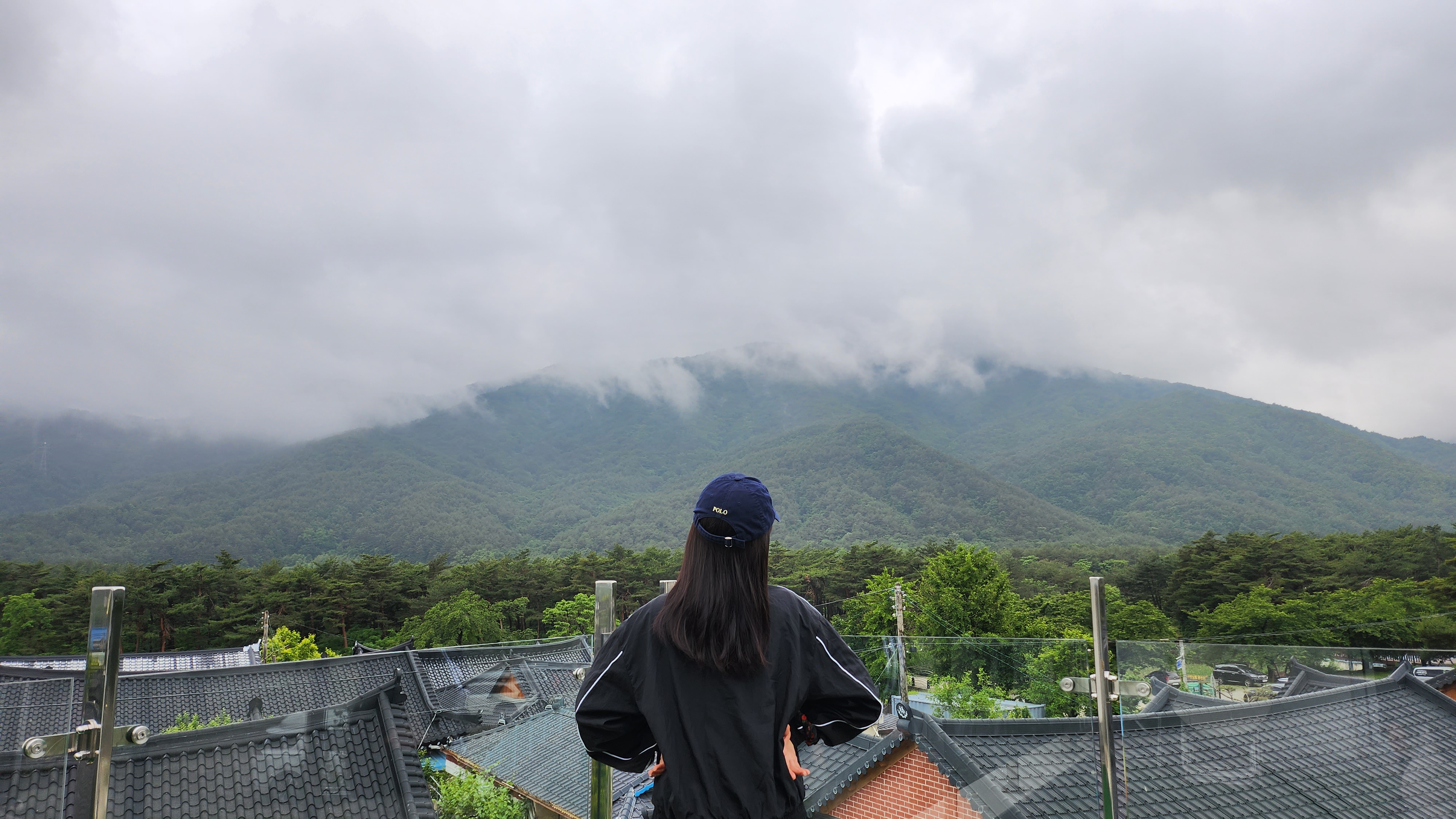  [속초 카페] '다온' 내돈내산후기(+주차, 애견동반)