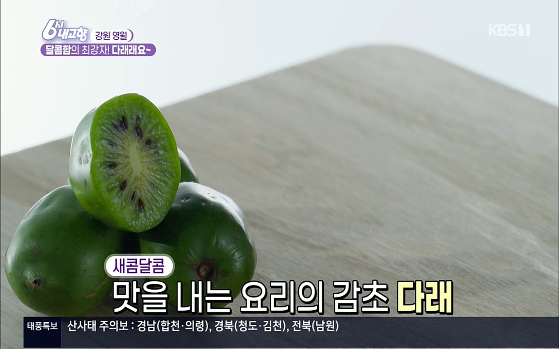 6시 내고향.E7611.220907p.H264-F1RST.mp4_20220908_204242.590.jpg