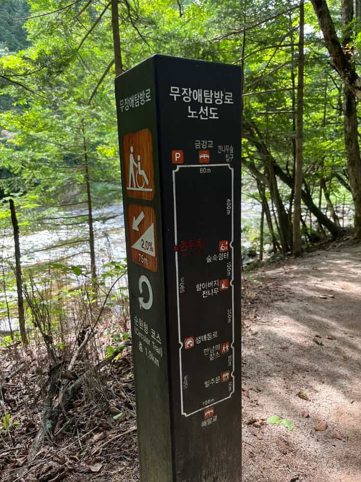 월정사 전나무 숲길 탐방로