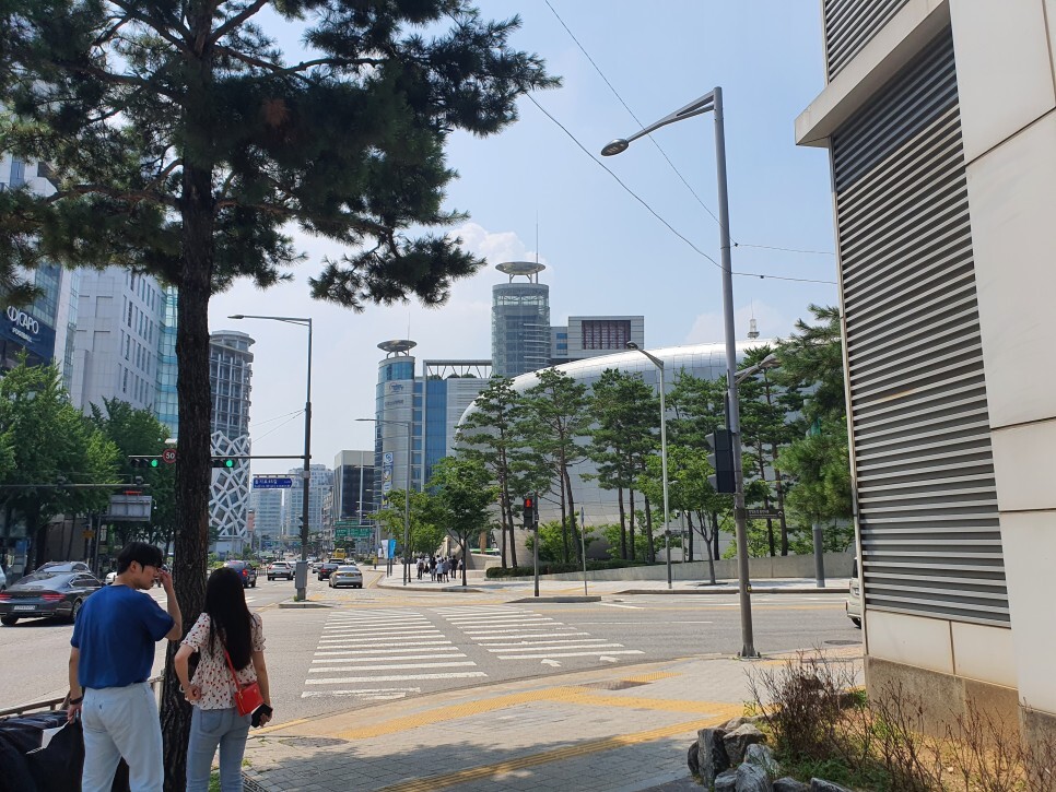  동대문 종합도매시장 쇼핑,상황 구경 생생한 후기