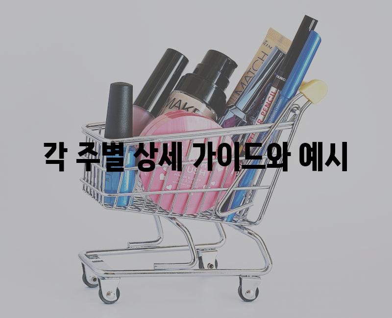 각 주별 상세 가이드와 예시