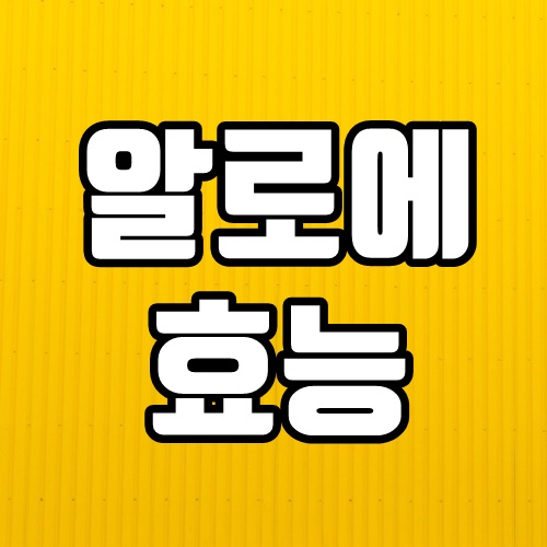  알로에 효능 7가지 함께 알아볼까요?