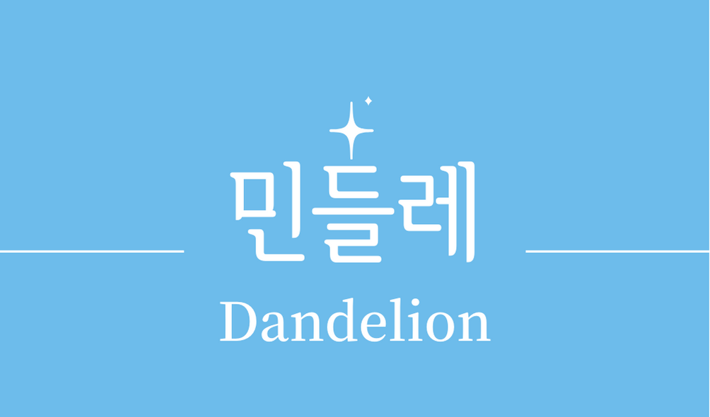 &#39;민들레(Dandelion)&#39;