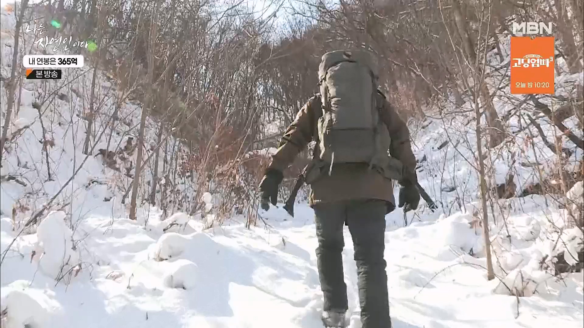 나는 자연인이다.E537.230118p.H264-F1RST.mp4_20230119_204835.095.jpg