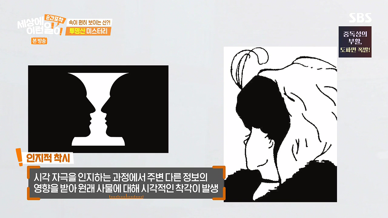 순간포착 세상에 이런일이.E1272.240407p-NEXT.mp4_20240407_173936.649.jpg