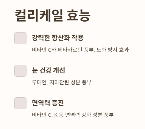 컬리케일 효능