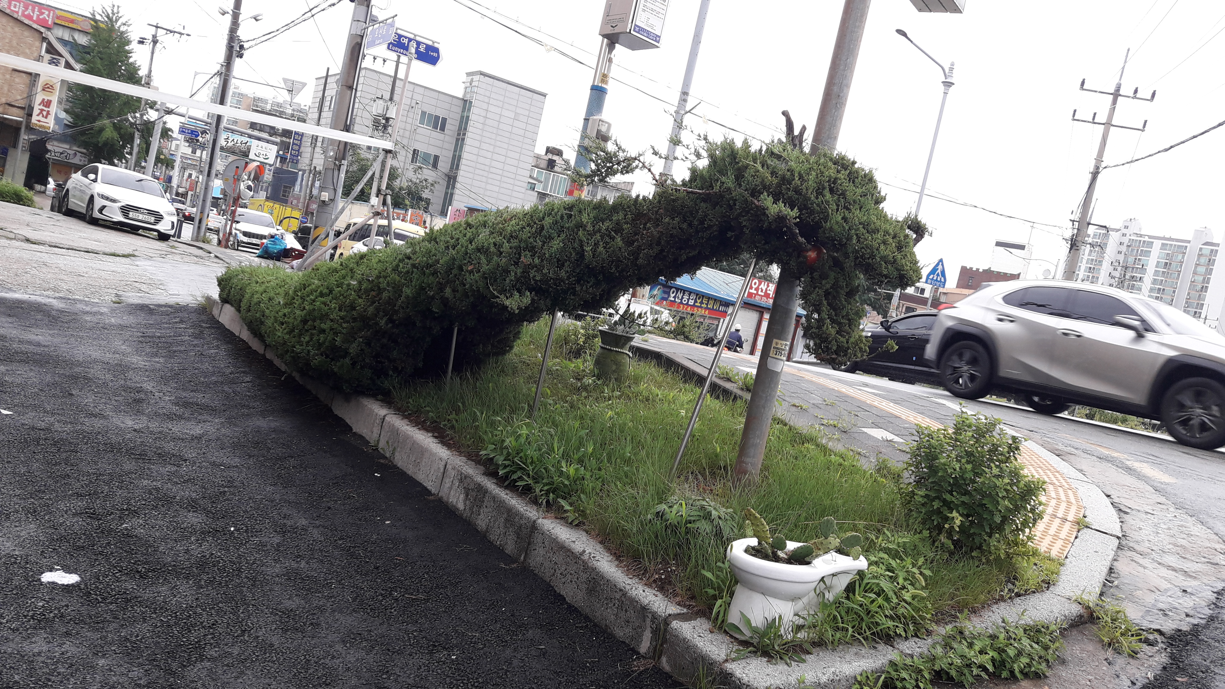 청백반점 이미지