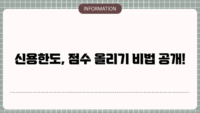 신용 점수 개선 방법