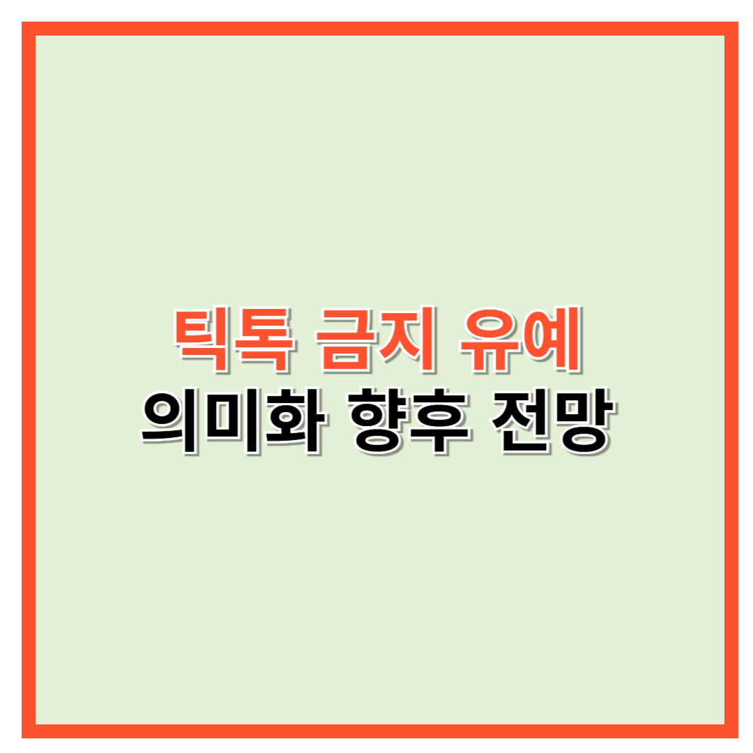 틱톡금지유예