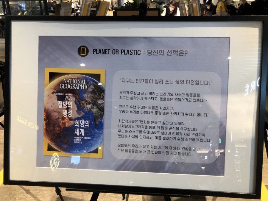  괴로운 거북이 황새 해마등 동물들 플라스틱과 쓰레기의 환경오염 절망의 행성이되가다  내셔널지오그래픽 유니클로 에코백