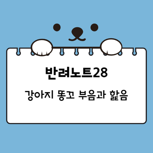 강아지 항문 부음과 냄새, 항문 핥는 이유