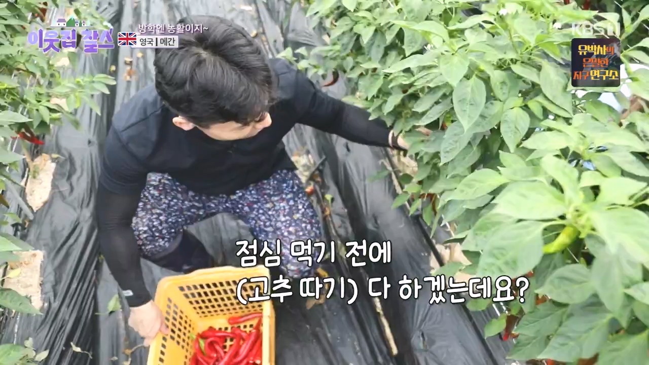 이웃집 찰스.E406.231011p-NEXT.mp4_20231011_200152.147.jpg