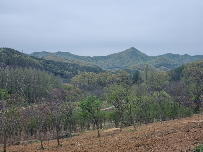 산