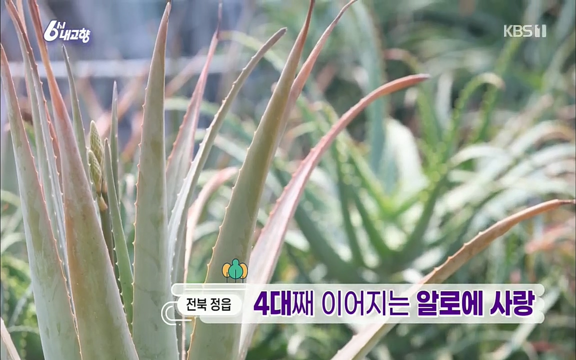 6시 내고향.E7511.220415p.H264-F1RST.mp4_20220425_165748.285.jpg
