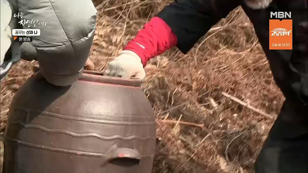 나는 자연인이다.E534.221229p.H264-F1RST.mp4_20221229_200023.065.jpg