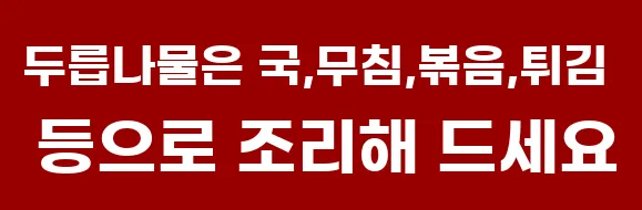 두릅나물은 국,무침,볶음,튀김 등으로 조리해 드세요