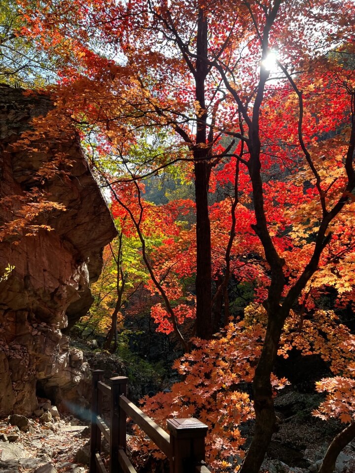  아홉 번째 여행 - 춘천 삼악산편(초보등산/당일치기/호카오네/카하2/삼악산/닭갈비/원조숯불닭불고기/허영만의백반기행)