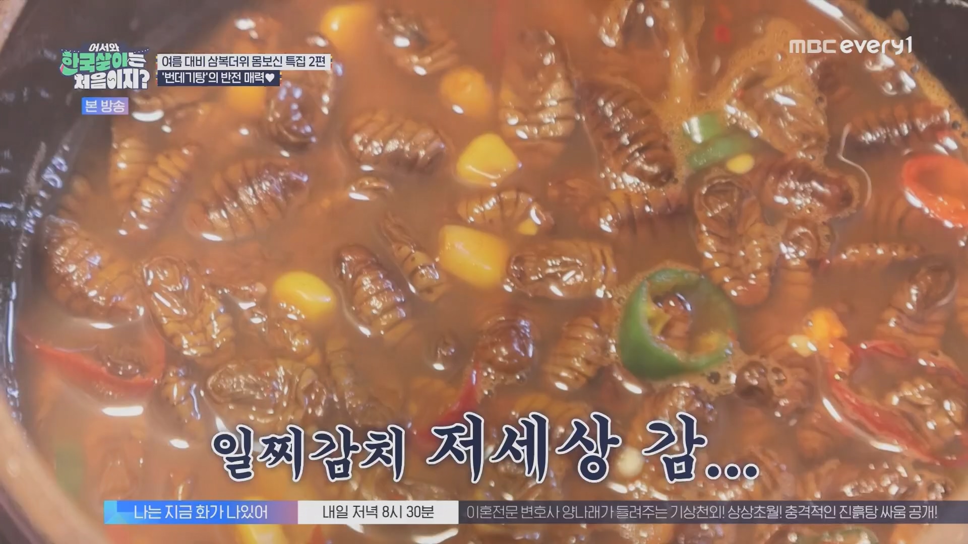 어서와 한국살이는 처음이지.E15.230828p.H264-F1RST.mp4_20230829_205811.760.jpg