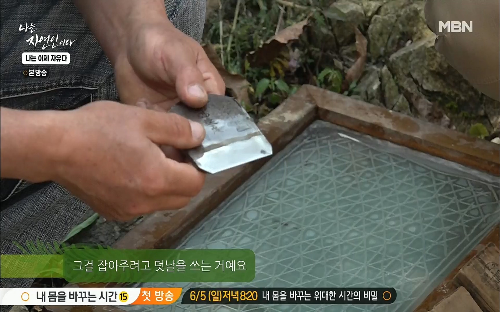 나는 자연인이다.E503.220525p.H264-F1RST.mp4_20220526_201139.355.jpg