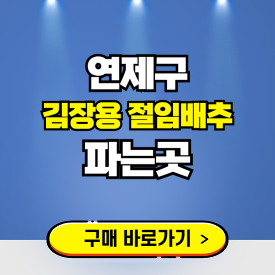 연제구 절임배추 사전예약 구입하는곳 ❘ 김장배추 파는곳 가격보기