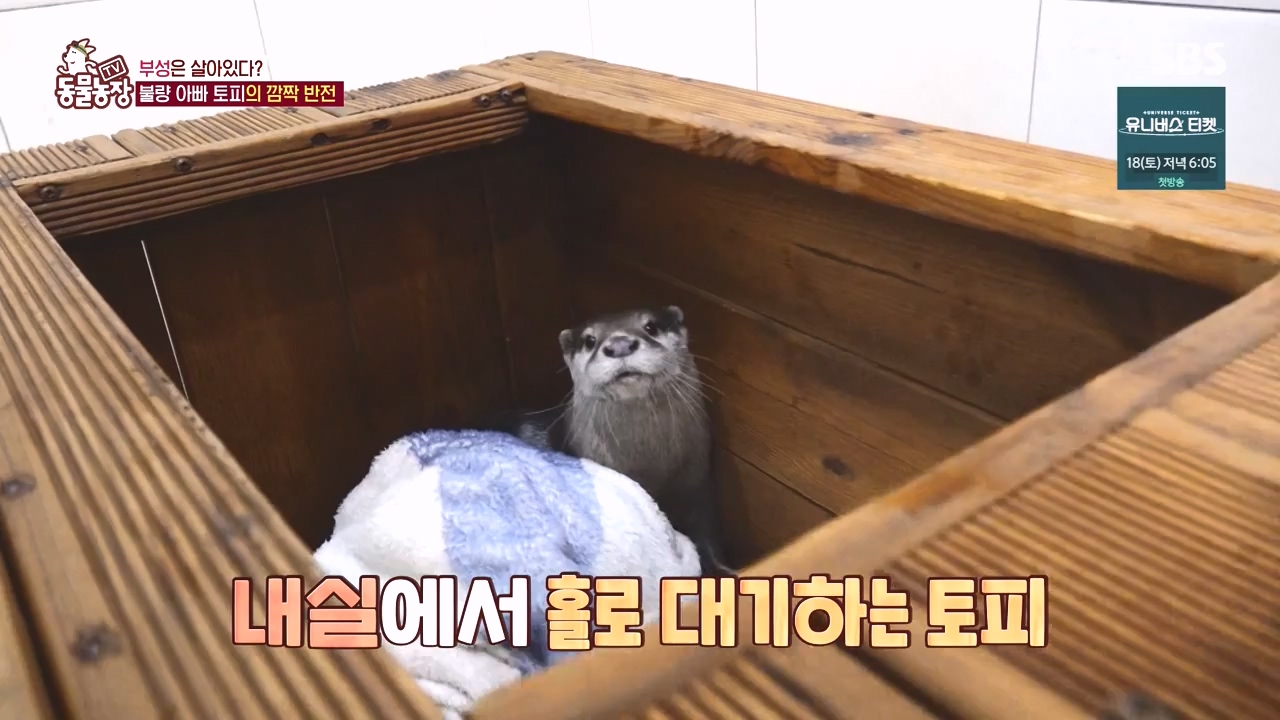 TV 동물농장.E1145.231113p-NEXT.mp4_20231112_173441.641.jpg