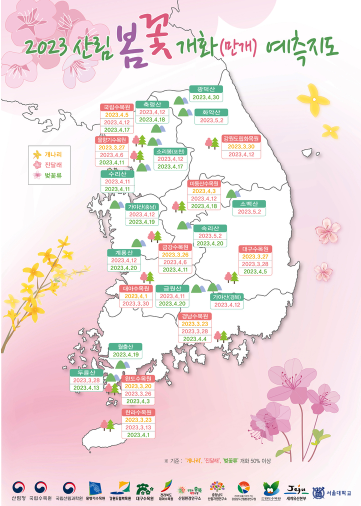 봄꽃 개화시기