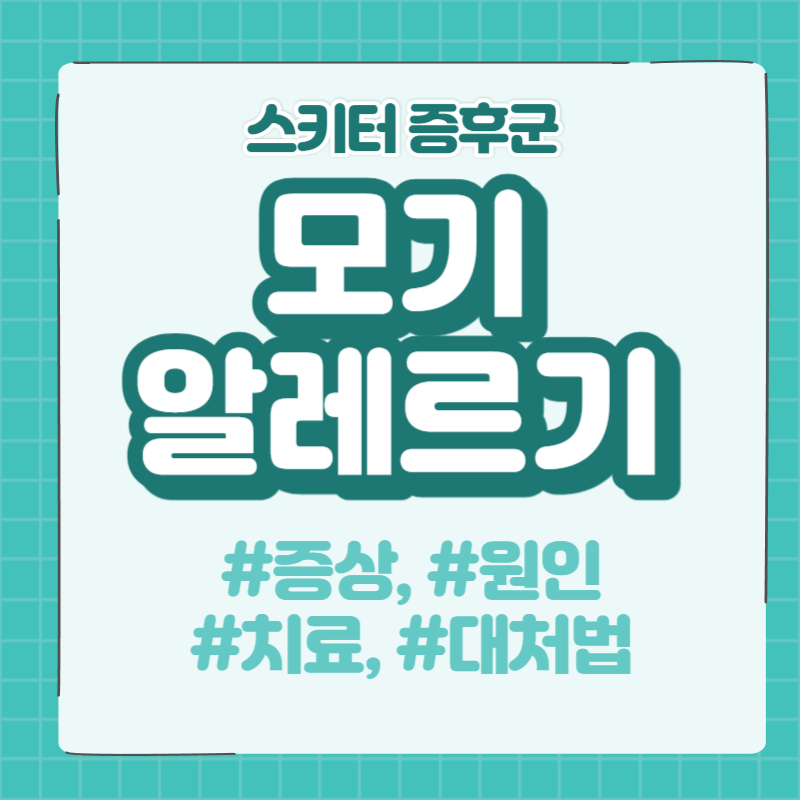  [질병 정보] 성인/아기 모기 알레르기 스키터 증후군 증상, 원인, 치료, 대처