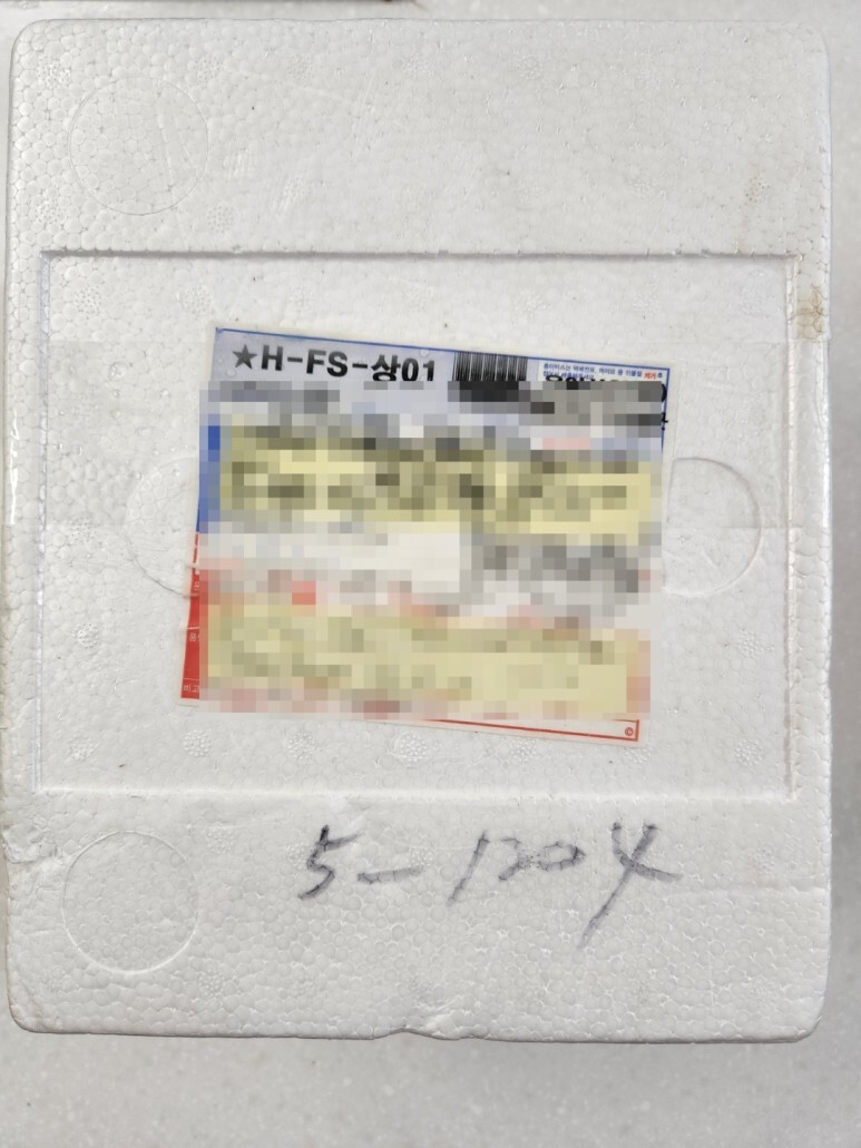  제주갈치 생물 얼리지 않고 손질된 제주생갈치