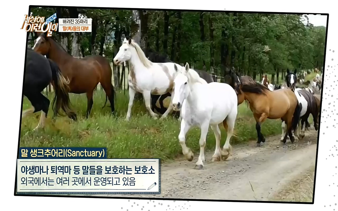 순간포착 세상에 이런일이.E1198.220920.H265p-BULDU.mp4_20220921_202000.886.jpg