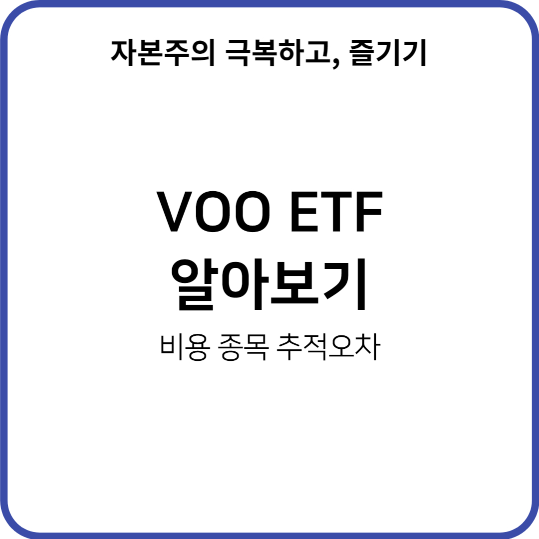  S&P500 미국 500대 대표 기업에 투자하는 VOO ETF