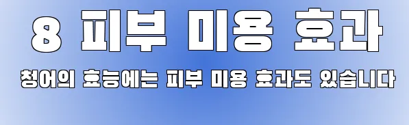  8 피부 미용 효과 청어의 효능에는 피부 미용 효과도 있습니다