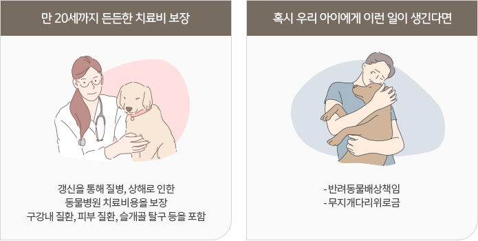 KB손해보험