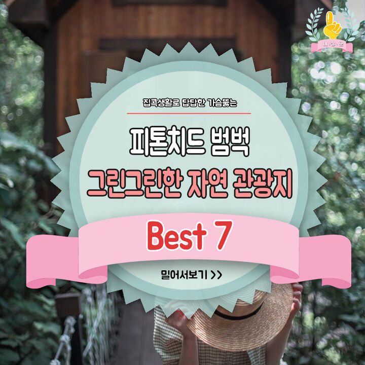  피톤치드 범벅 관광지 7