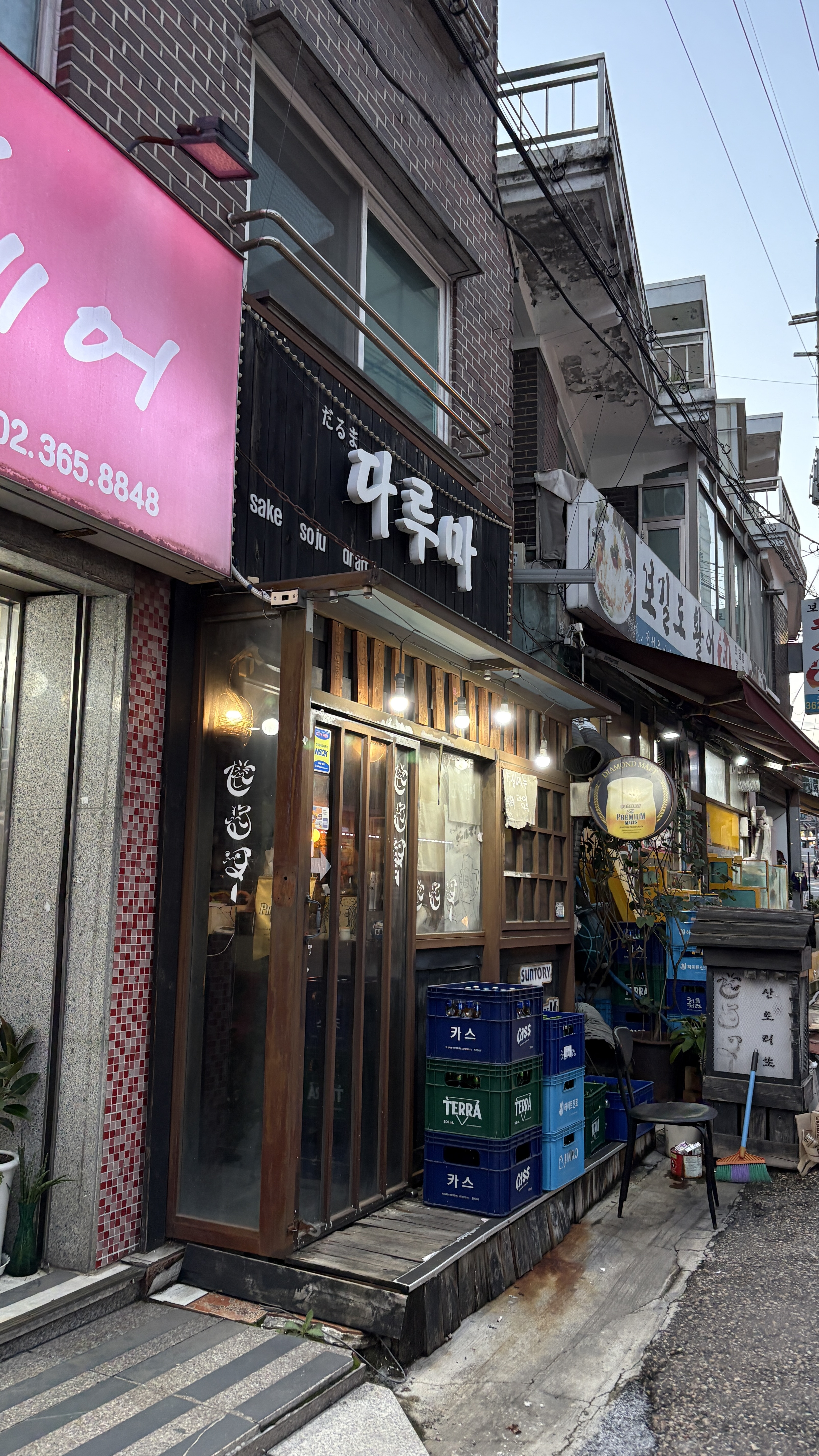 다루마 사진 2