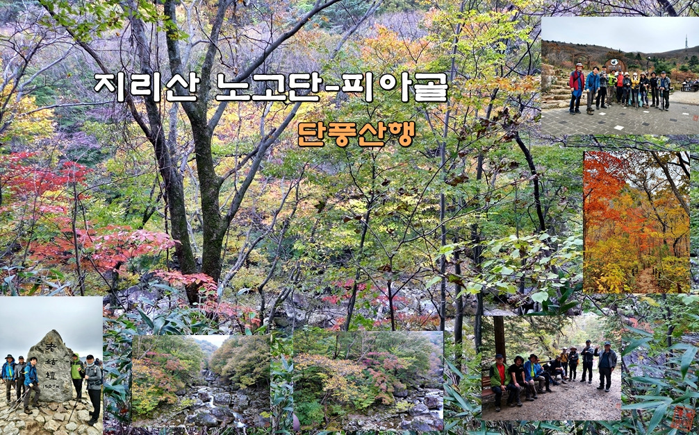 노고단식품 이미지