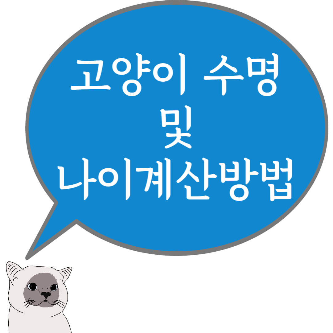 고양이 수명 및 나이계산방법