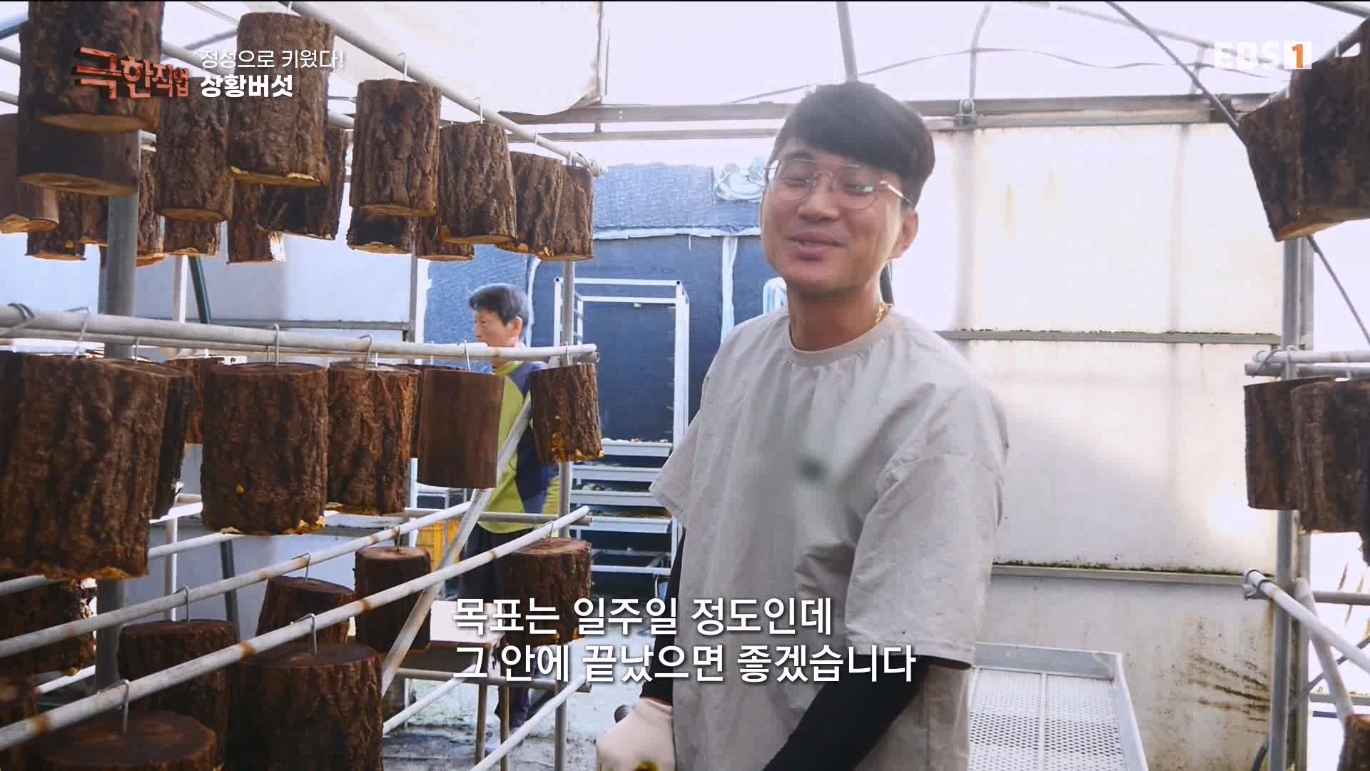 [극한 직업] 상황버섯, 백봉 오골계, 흑염소 230923.mp4_20230925_205237.887.jpg