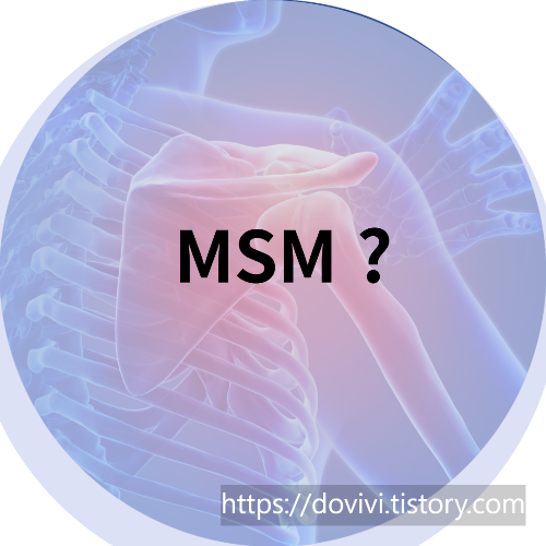  엠에스엠 관절케어 MSM 부작용 및 효능